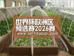 环境展示五