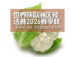 产品名称九